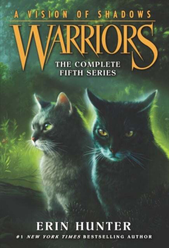 Warriors: A Vision Of Shadows Box Set: Volumes 1 To 6 Av Erin Hunter