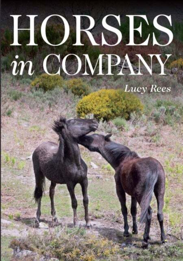 Horses in Company av Lucy Rees