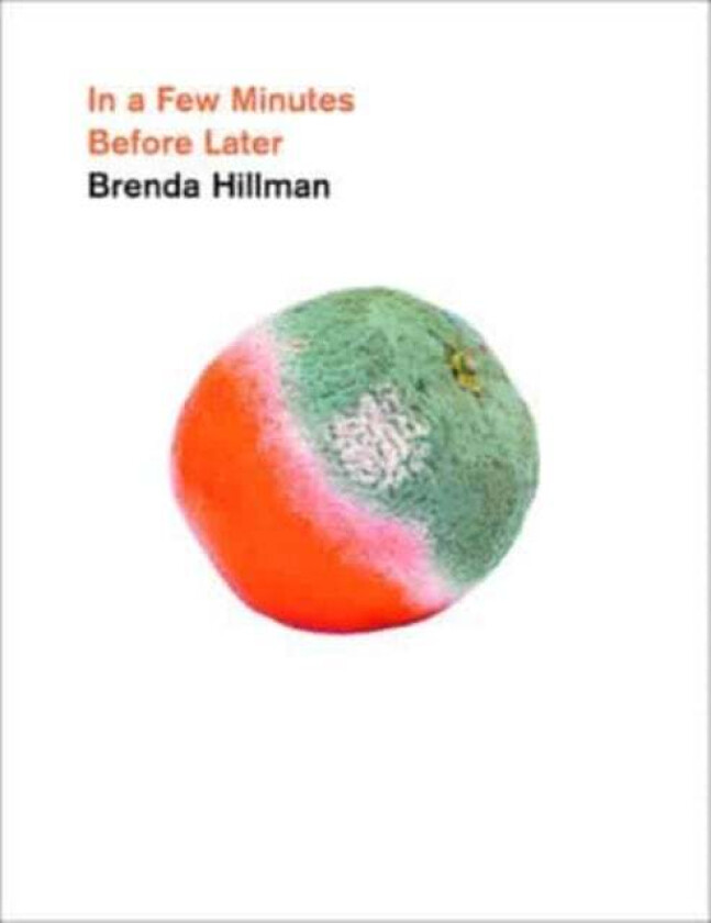 In a Few Minutes Before Later av Brenda Hillman