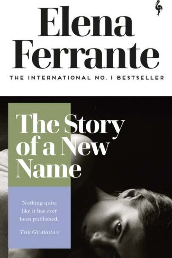 The story of a new name av Elena Ferrante