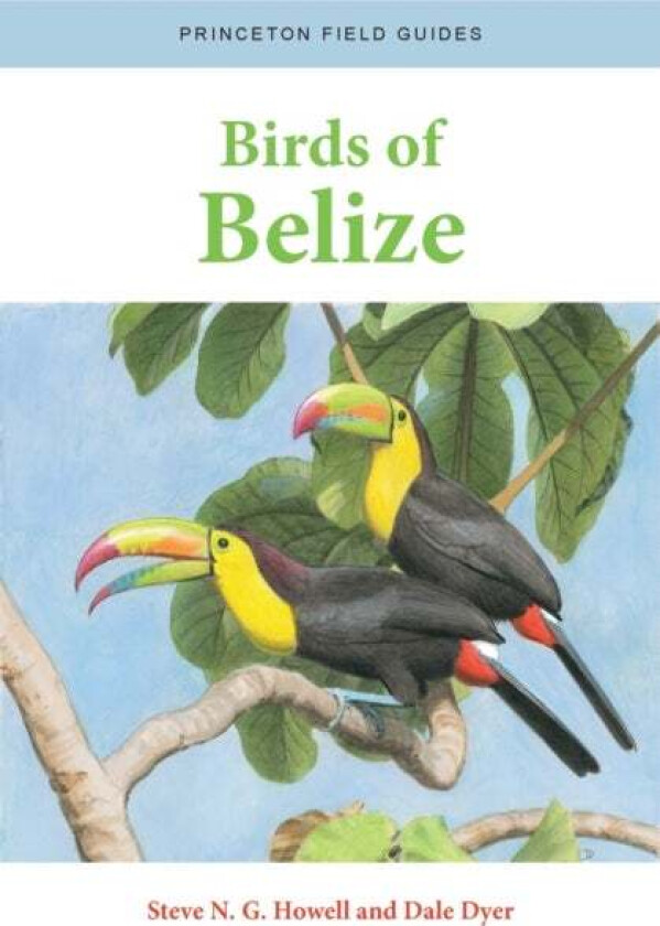 Birds of Belize av Steve N. G. Howell, Dale Dyer