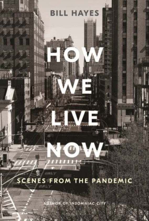 How We Live Now av Bill Hayes