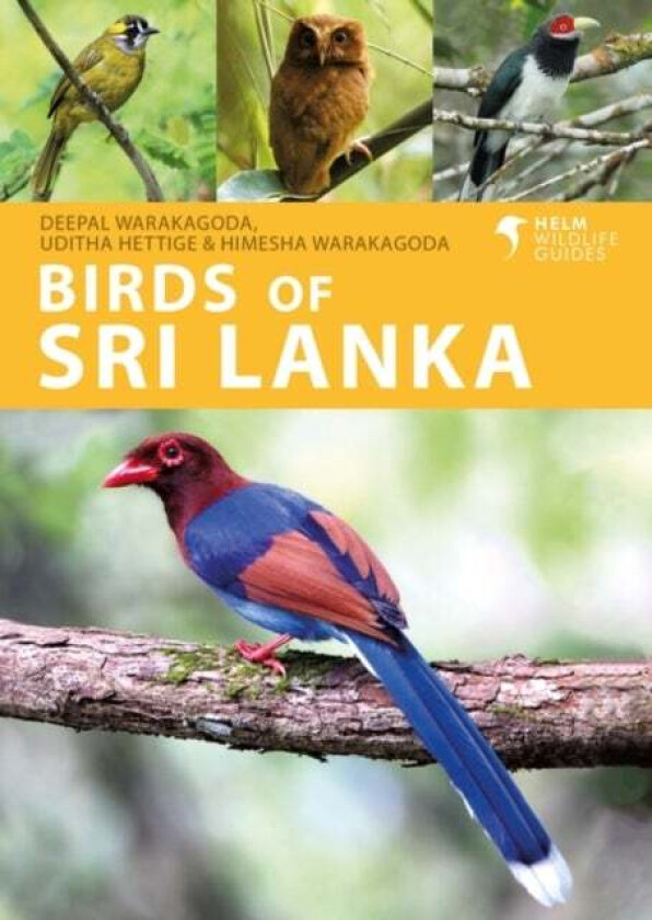 Birds of Sri Lanka av Deepal Warakagoda, Uditha Hettige, H Warakagoda