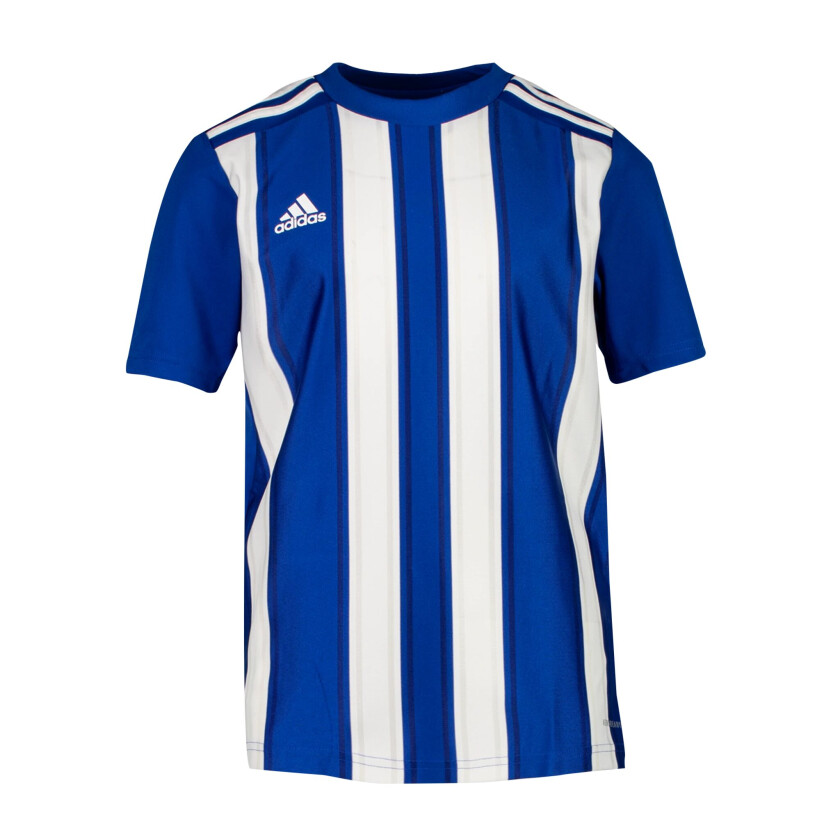 adidas Striped 21 Jersey, treningstrøye junior Royblu/white