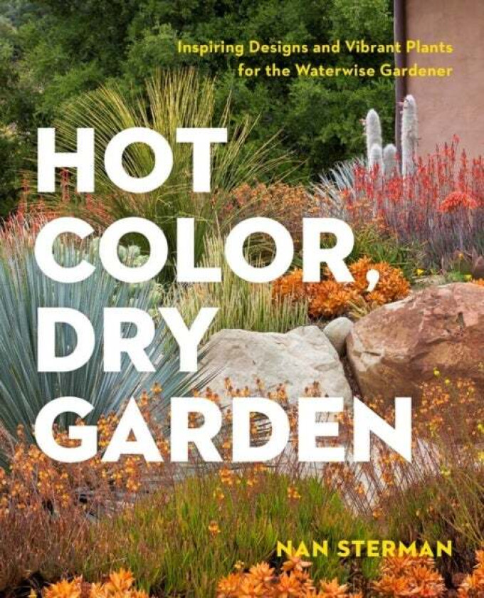 Hot Color, Dry Garden av Nan Sterman