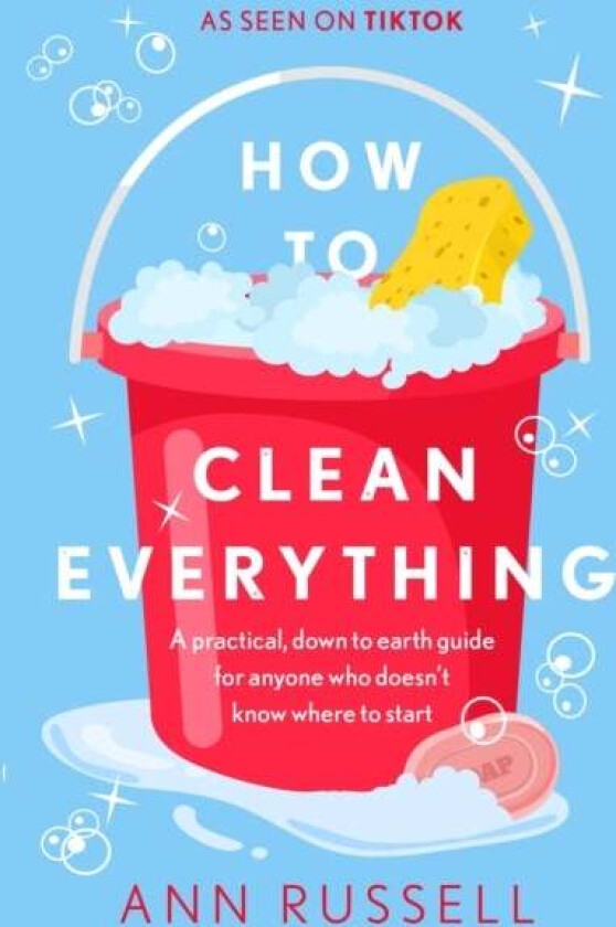 How to Clean Everything av Ann Russell
