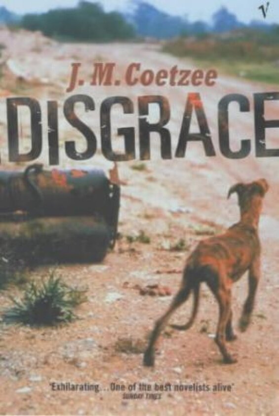 Disgrace av J.M. Coetzee