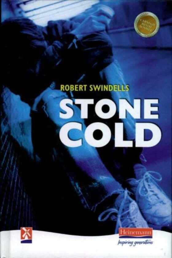 Stone Cold av Robert Swindells