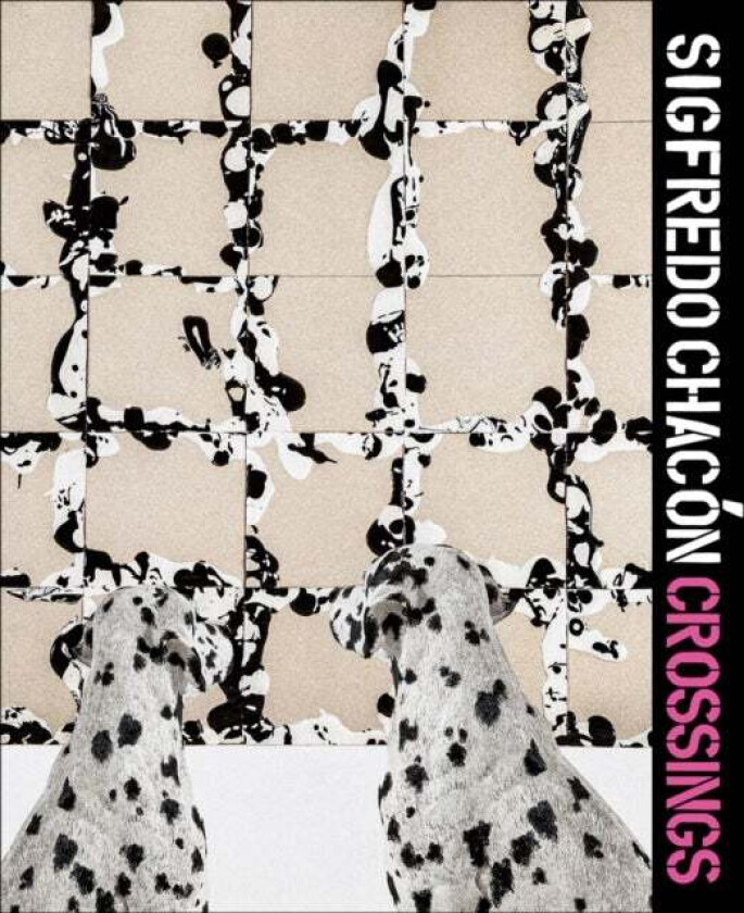 Sigfredo Chacon - Crossings av Jesus Fuenmayor