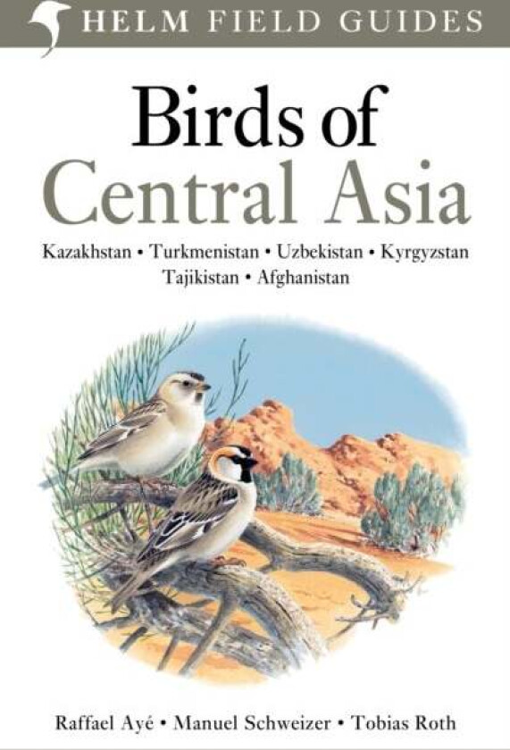 Birds of Central Asia av Raffael Aye, Manuel Schweizer, Tobias Roth