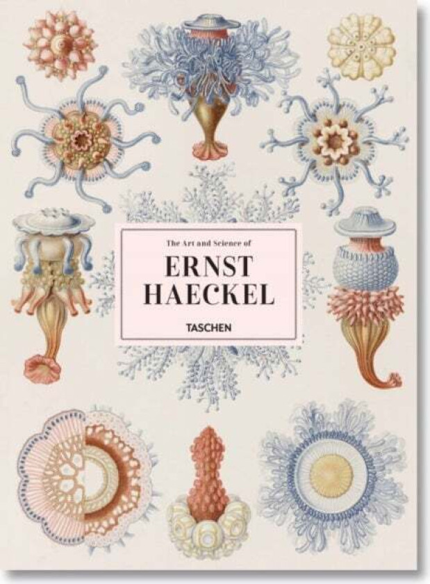 The Art and Science of Ernst Haeckel av Julia Voss, Rainer Willmann