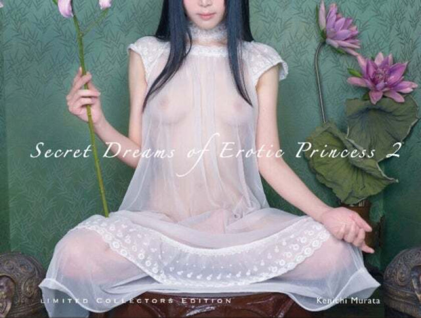 Secret Dreams of Erotic Princess 2 av Kenichi Murata