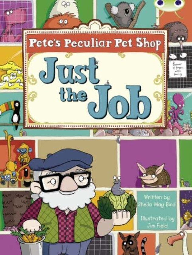 Bug Club Guided Fiction Year Two Turquoise B Pete's Peculiar Pet Shop: Just the Job av Sheila Bird