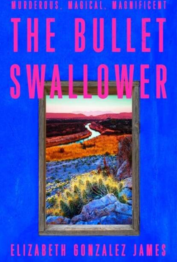 The Bullet Swallower Av Elizabeth Gonzalez James