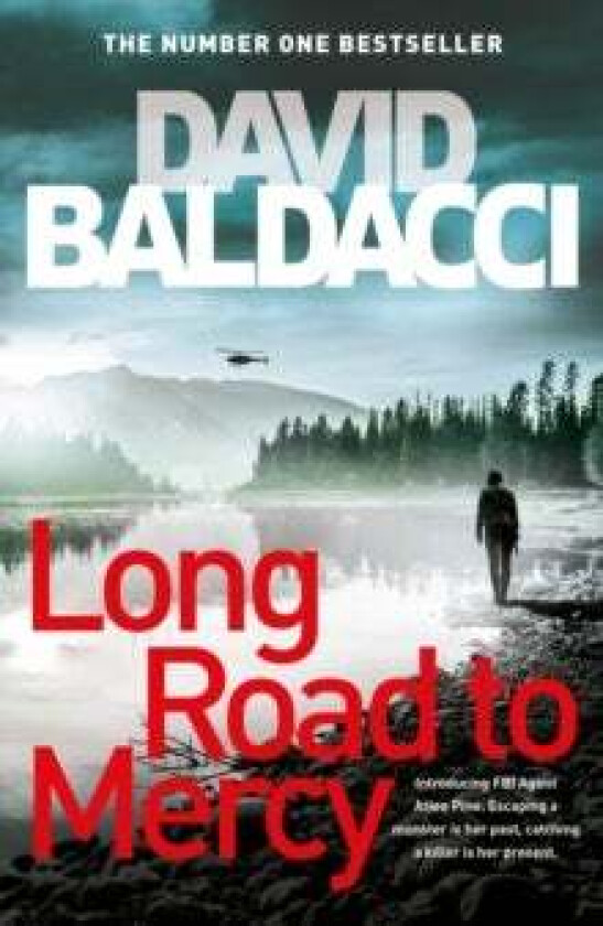 Long Road to Mercy av David Baldacci
