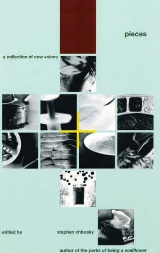 Pieces av Stephen Chbosky