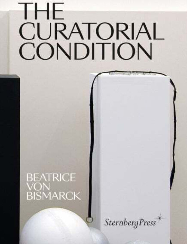 The Curatorial Condition av Beatrice Von Bismarck