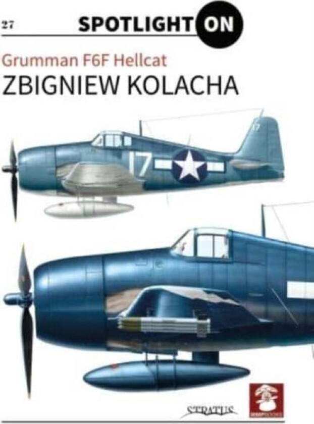 Grumman F6f Hellcat av Zbigniew Kolacha