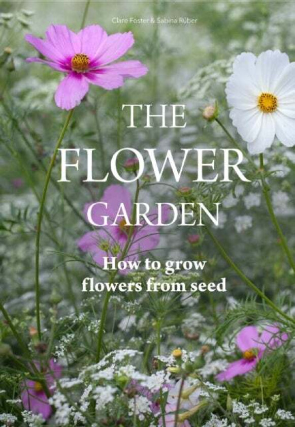 Flower Garden av Clare Foster