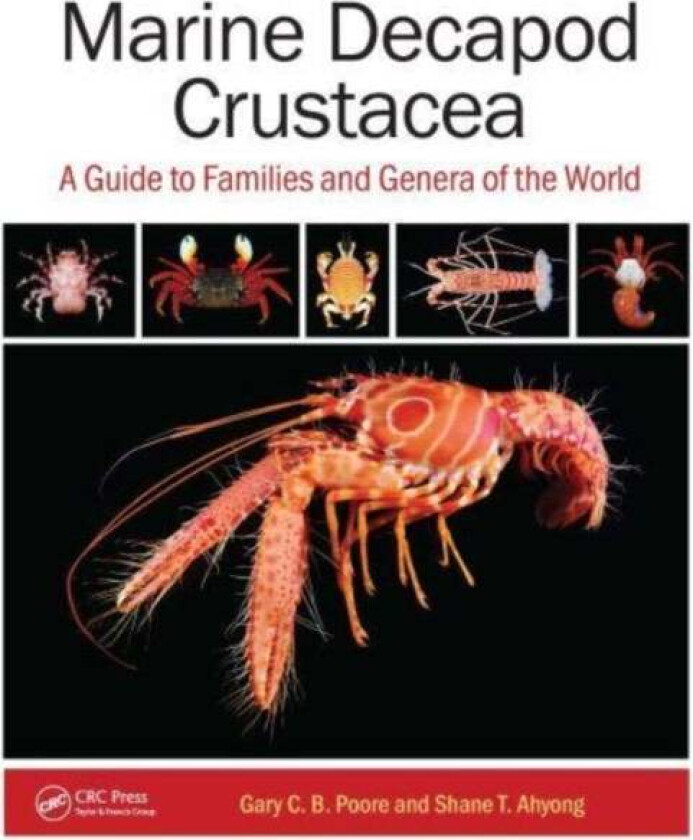 Marine Decapod Crustacea av Gary C.B. Poore, Shane T. Ahyong