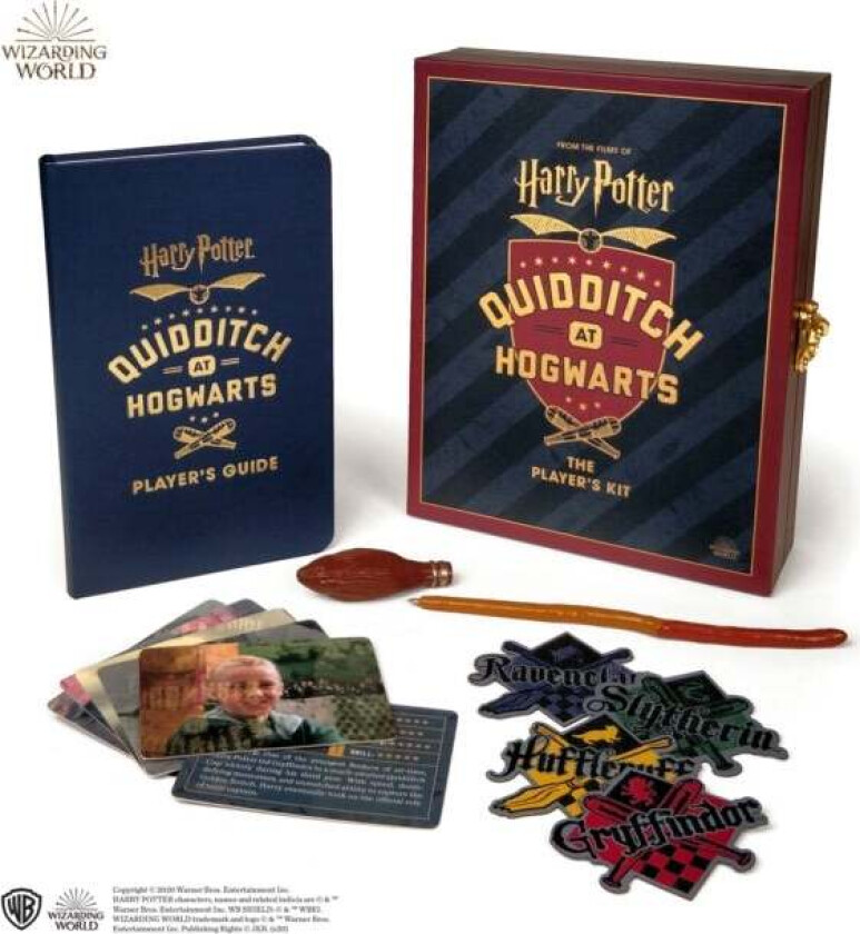 Harry Potter Quidditch at Hogwarts av Donald Lemke