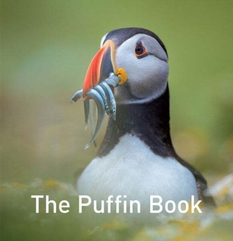 The Puffin Book av Drew Buckley