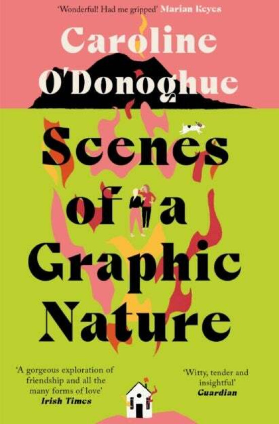 Scenes of a Graphic Nature av Caroline O'Donoghue
