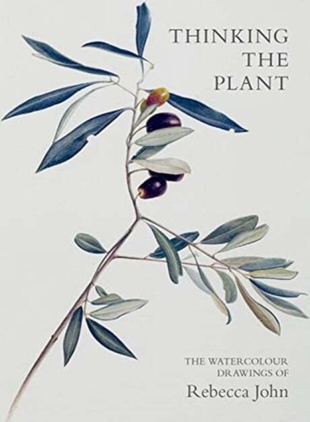 Thinking the Plant av Rebecca John