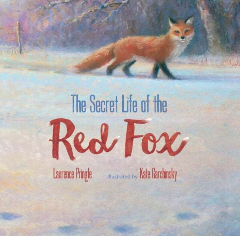 Secret Life of the Red Fox av Laurence Pringle