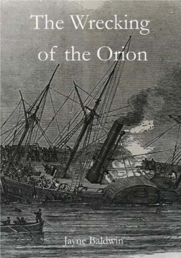 The Wrecking of the Orion av Jayne Baldwin