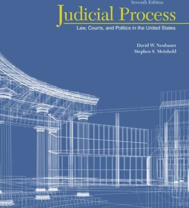 Judicial Process av David (University of New Orleans) Neubauer, Stephen (University of North Carolina at Wilmington) Meinhold
