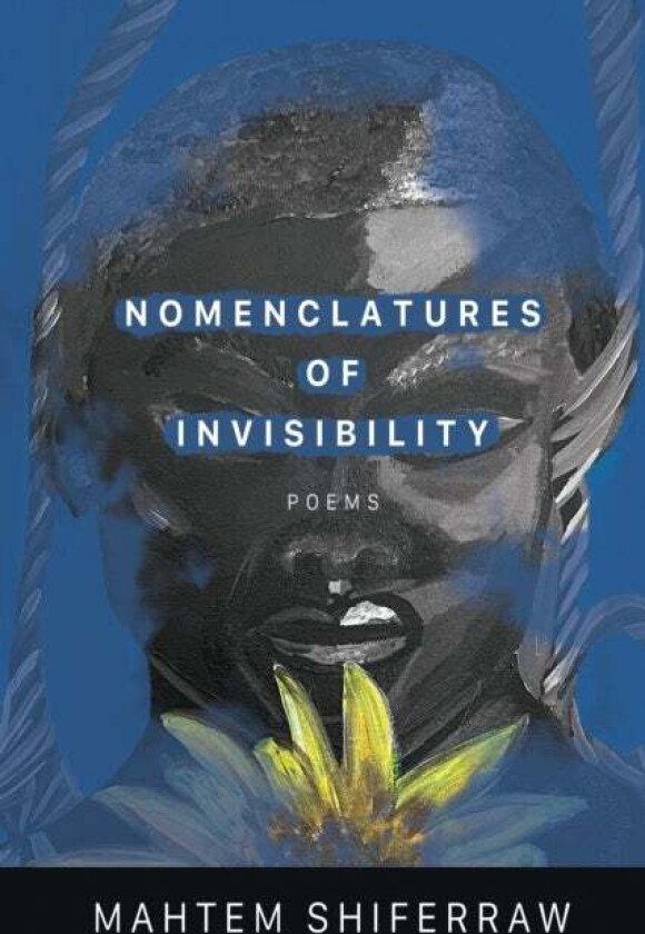 Nomenclatures of Invisibility av Mahtem Shiferraw