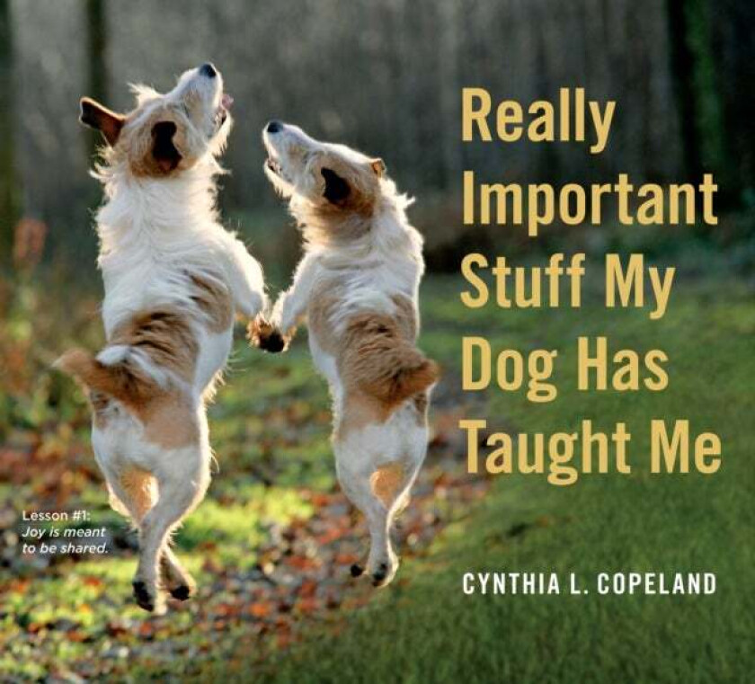 Really Important Stuff My Dog Has Taught Me av Cynthia L. Copeland