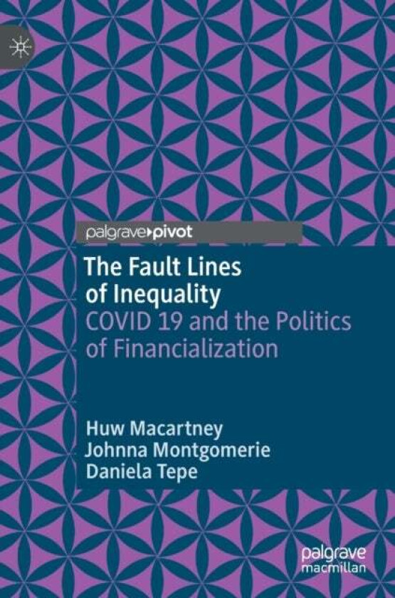 The Fault Lines of Inequality av Huw Macartney, Johnna Montgomerie, Daniela Tepe