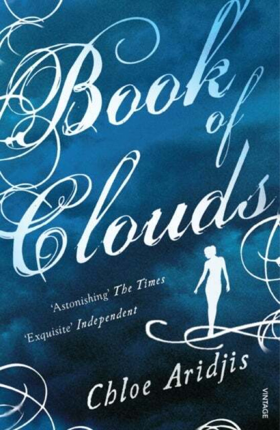 Book of Clouds av Chloe Aridjis