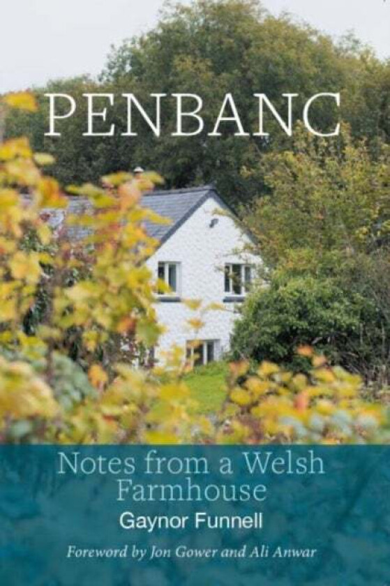Penbanc - Notes from a Welsh Farmhouse av Gaynor Funnell