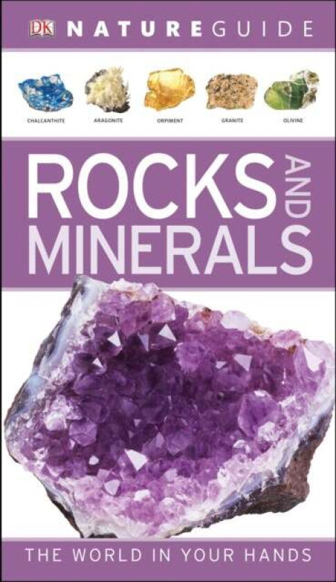 Nature Guide Rocks and Minerals av DK