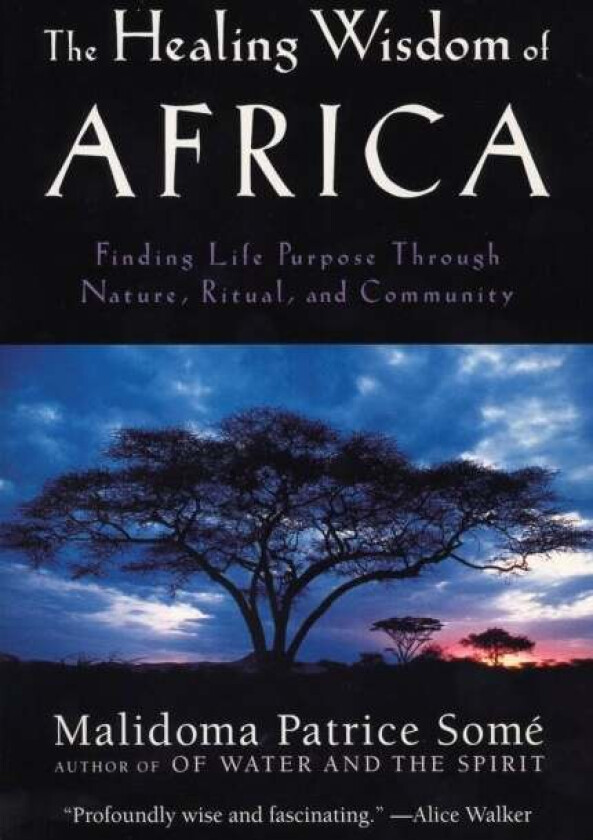 The Healing Wisdom of Africa av Malidoma Patrice Some