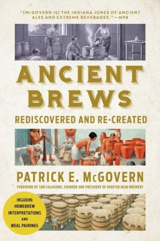 Ancient Brews av Patrick E. (University of Pennsylvania) McGovern