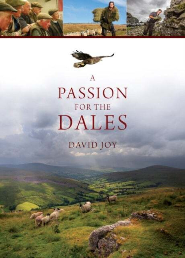 A Passion For The Dales av David Joy