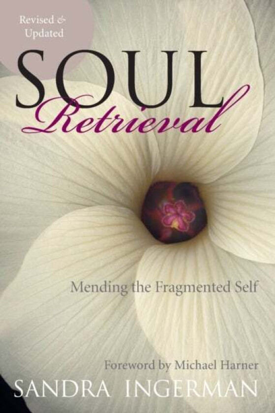 Soul Retrieval av Sandra Ingerman