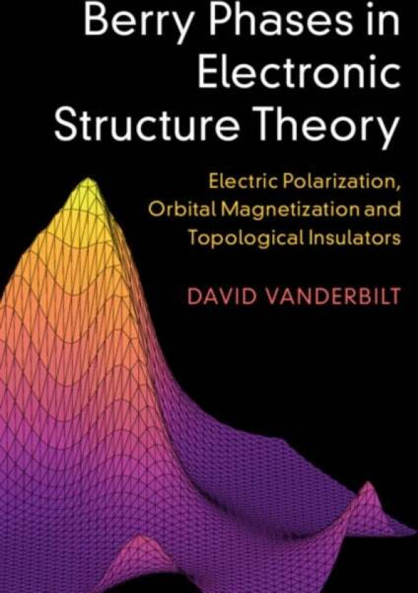 Berry Phases in Electronic Structure Theory av David (Rutgers University New Jersey) Vanderbilt