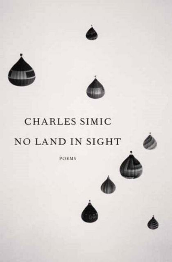 No Land in Sight av Charles Simic