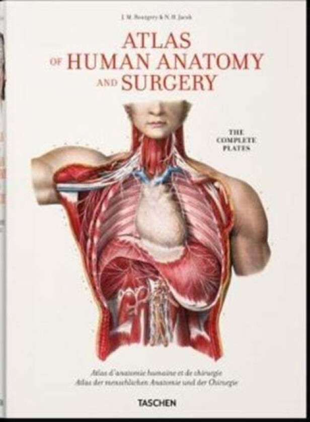 Bourgery. Atlas of Human Anatomy and Surgery av Jean-Marie Le Minor, Henri Sick