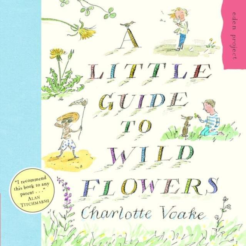 A Little Guide To Wild Flowers av Charlotte Voake