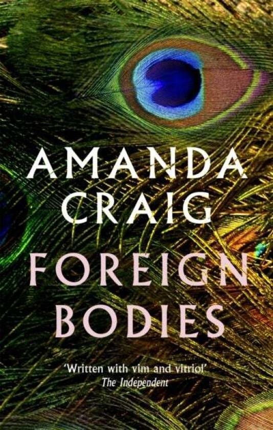 Foreign Bodies av Amanda Craig