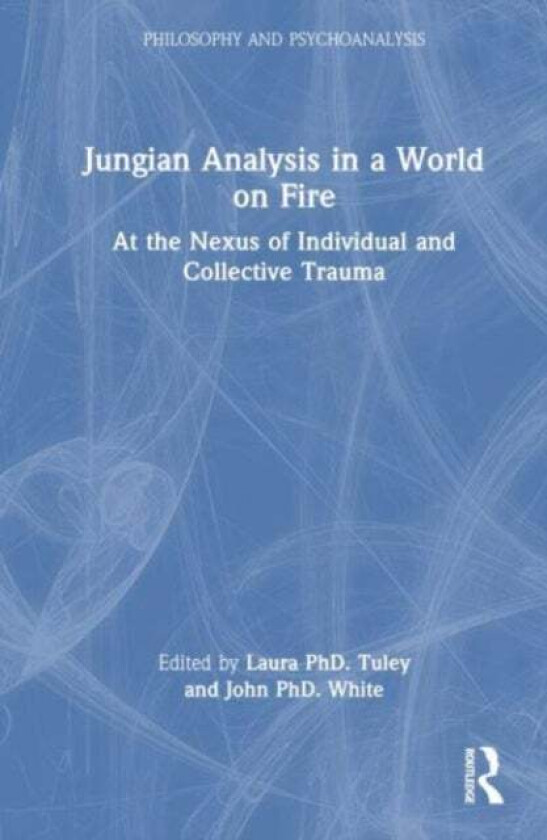 Jungian Analysis In A World On Fire