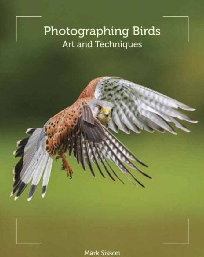 Photographing Birds av Mark Sisson
