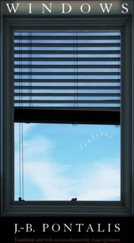 Windows av J.-B. Pontalis