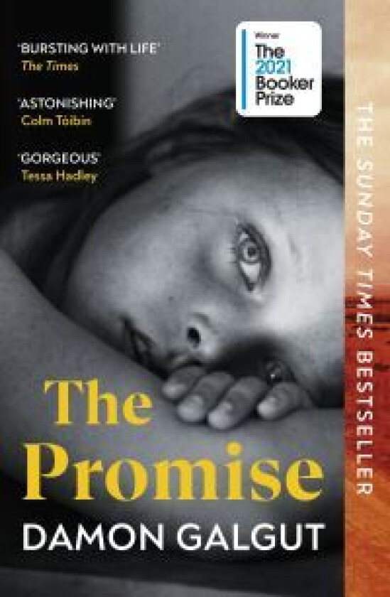 The promise av Damon Galgut